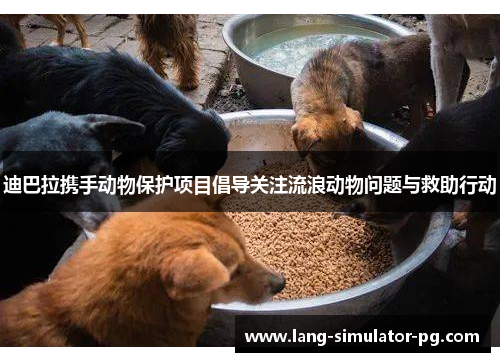 迪巴拉携手动物保护项目倡导关注流浪动物问题与救助行动 迪巴拉携手动物保护项目倡导关注流浪动物问题与救助行动