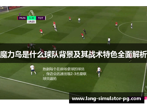 魔力鸟是什么球队背景及其战术特色全面解析 魔力鸟是什么球队背景及其战术特色全面解析